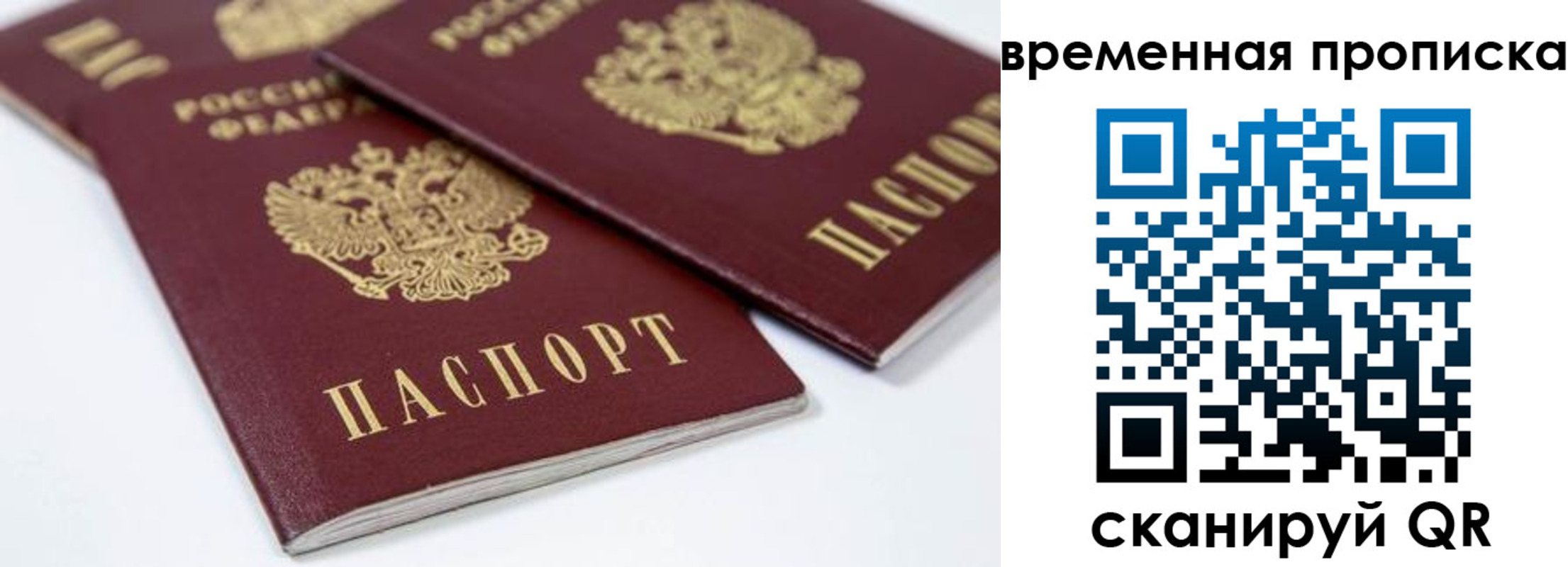 прописка для школы в Новом Осколе